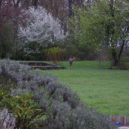 Les Sapins Hotel Vitry-aux-Loges ภายนอก รูปภาพ