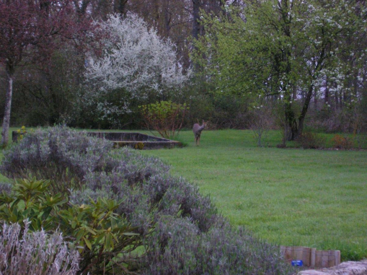 Les Sapins Hotel Vitry-aux-Loges ภายนอก รูปภาพ